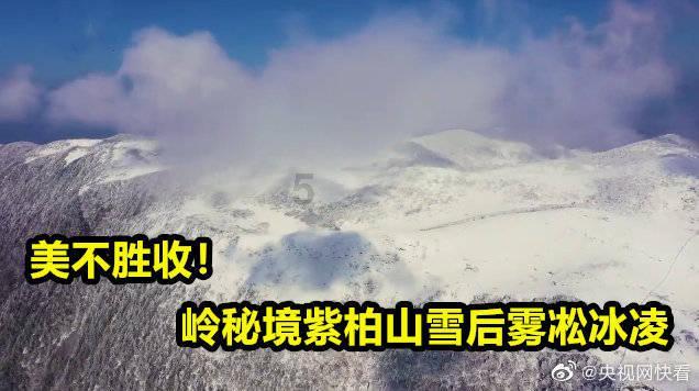 为什么前任总是阴魂不散？游戏画面